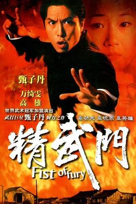 精武门1995国语 第19集