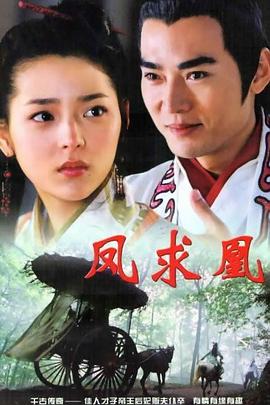 凤求凰2005 第28集