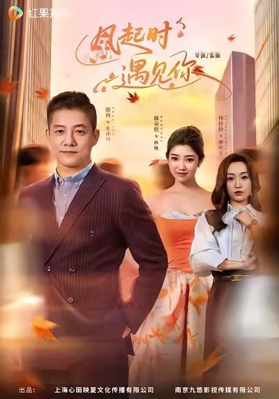 风起时遇见你(全集)