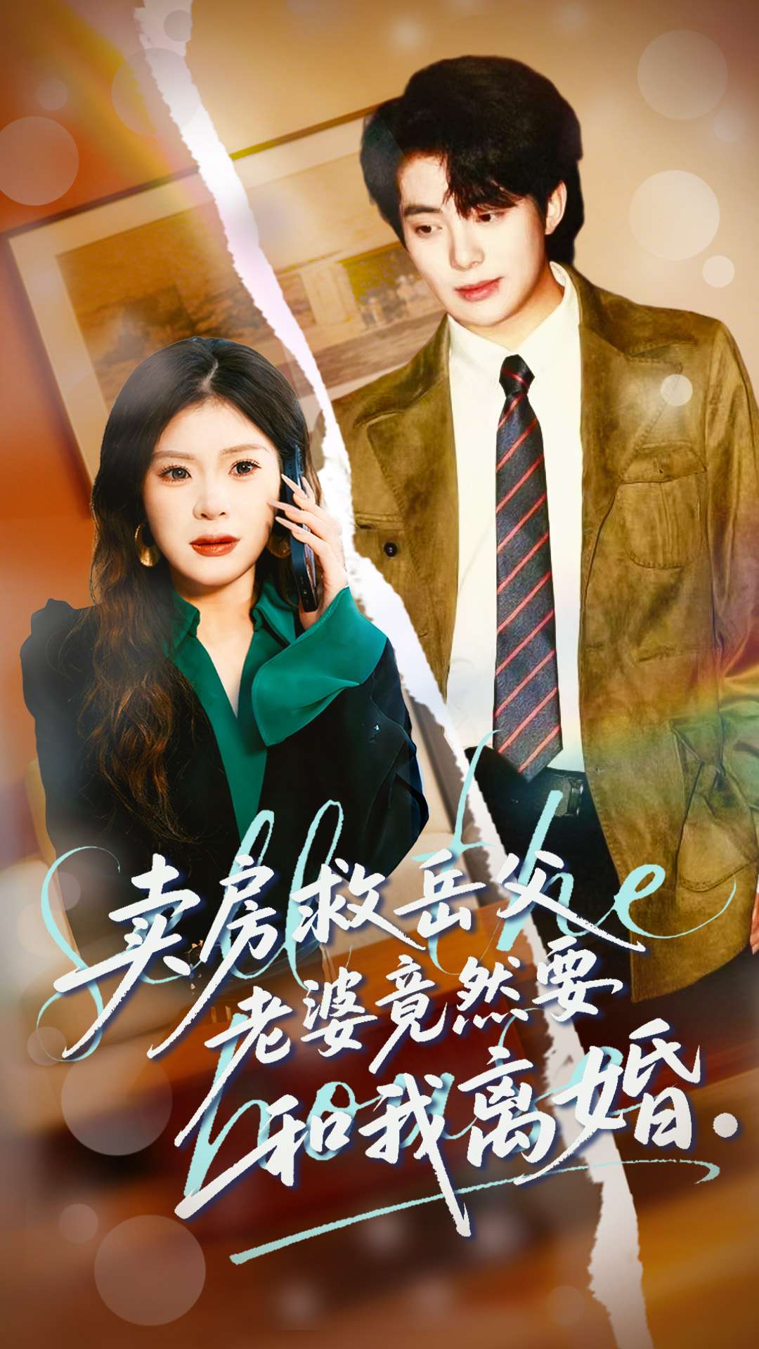 卖房救岳父，老婆竟然要和我离婚(全集)
