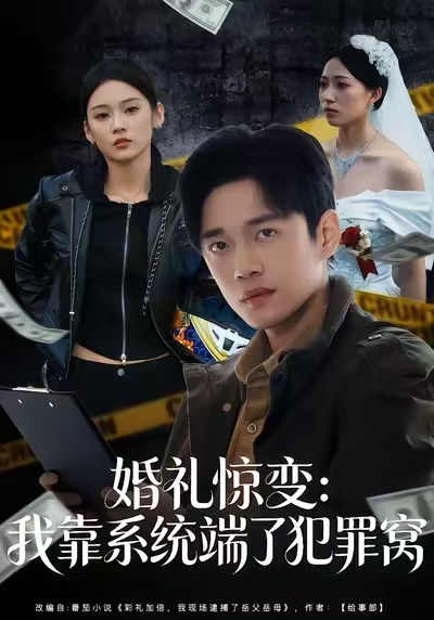 婚礼惊变：我靠系统端了犯罪窝(全集)