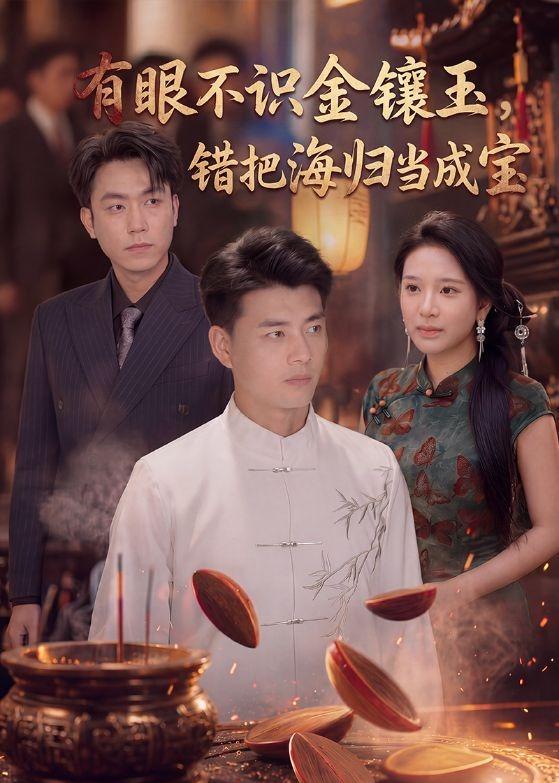 有眼不识金镶玉错把海归当成宝(全集)