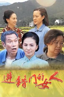 进错门的女人(全集)