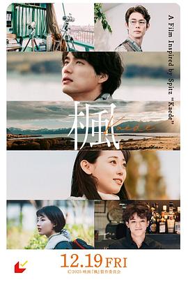 枫