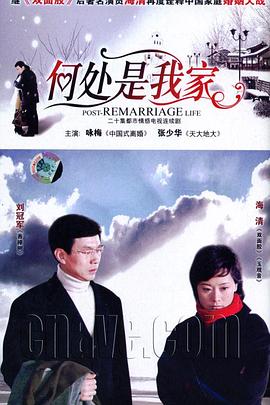 何处是我家 第12集
