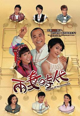 两妻时代国语 第20集(大结局)