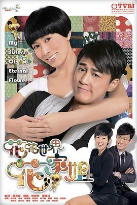 花花世界花家姐国语 第17集