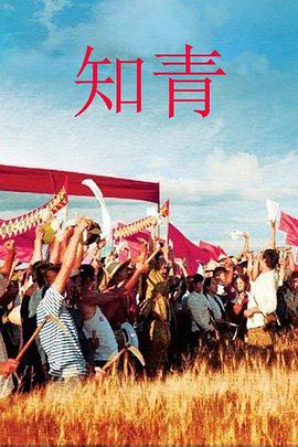 知青2012 第19集