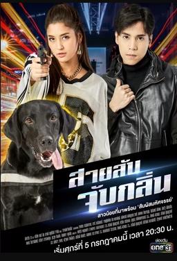 侦探K9普国语 第17集(大结局)