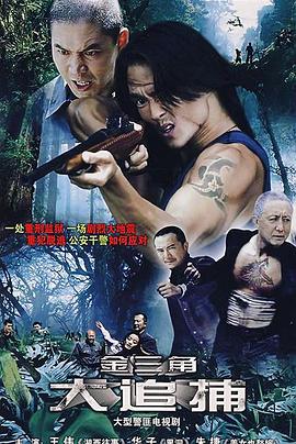 大追捕2008 第12集
