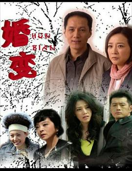 婚变 第26集