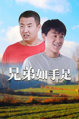 兄弟如手足 第17集