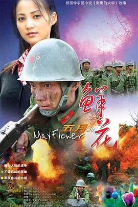 五月的鲜花 第15集