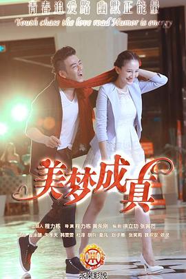 美梦成真2015 第17集