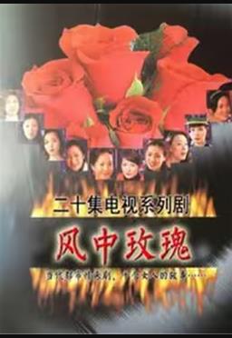风中玫瑰 第11集