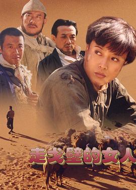 走戈壁的女人 第13集