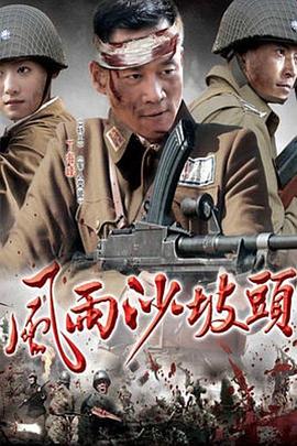 风雨沙坡头 第11集
