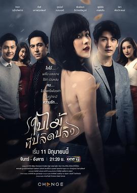 吹落的树叶 第19集