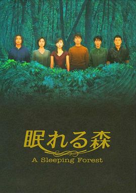 沉睡的森林1998 第12集(大结局)