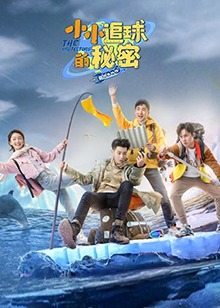 小小追球的秘密 第21集