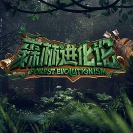 森林进化论 第20230715期