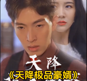 天降极品豪婿 第142集