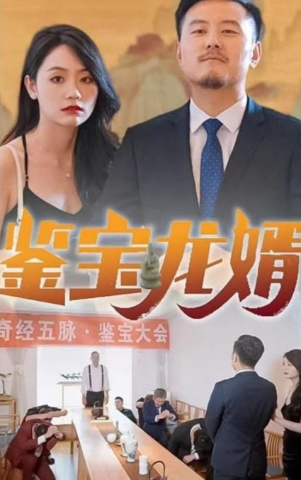 鉴宝龙婿 第12集