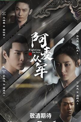 阿麦从军 第14集