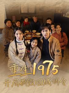 重生1975开局撕毁回城调令 第28集
