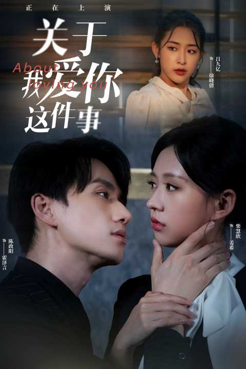 关于我爱你这件事 第12集