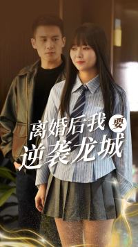 离婚后我要逆袭龙城 第38集