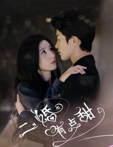 二婚有点甜 第86集