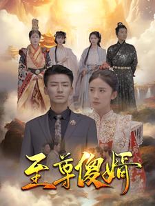 至尊傻婿 第62集