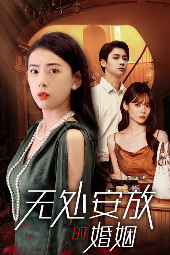 无处安放的婚姻 第28集