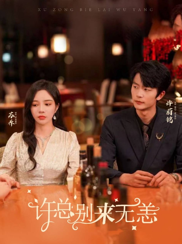 许总别来无恙 第12集