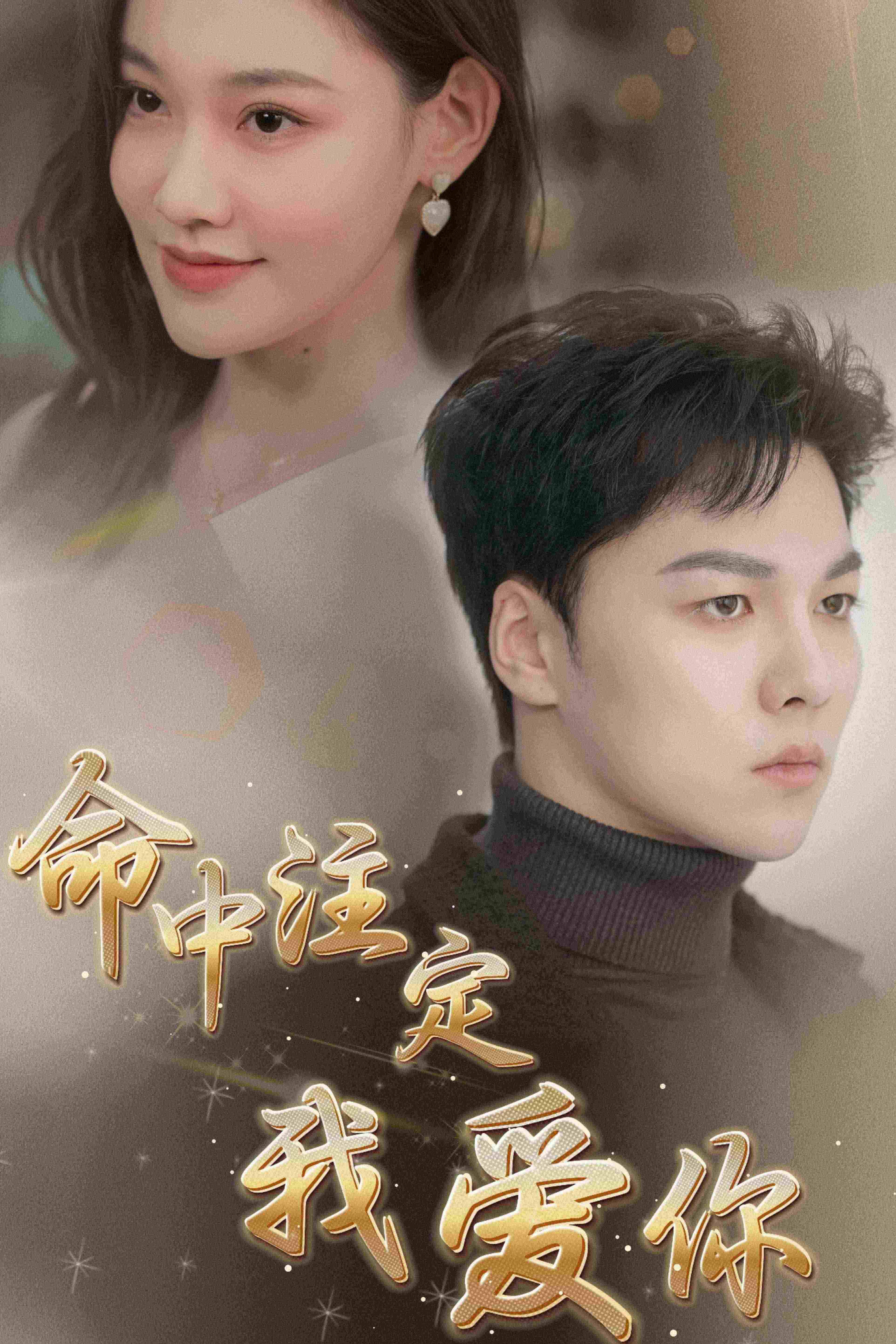 命中注定我爱你 第51集