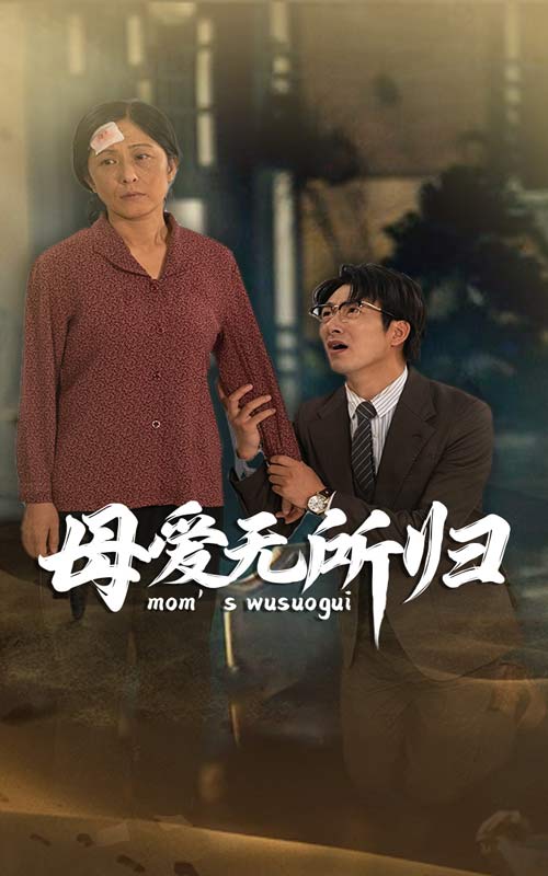 母爱无所归 第20集