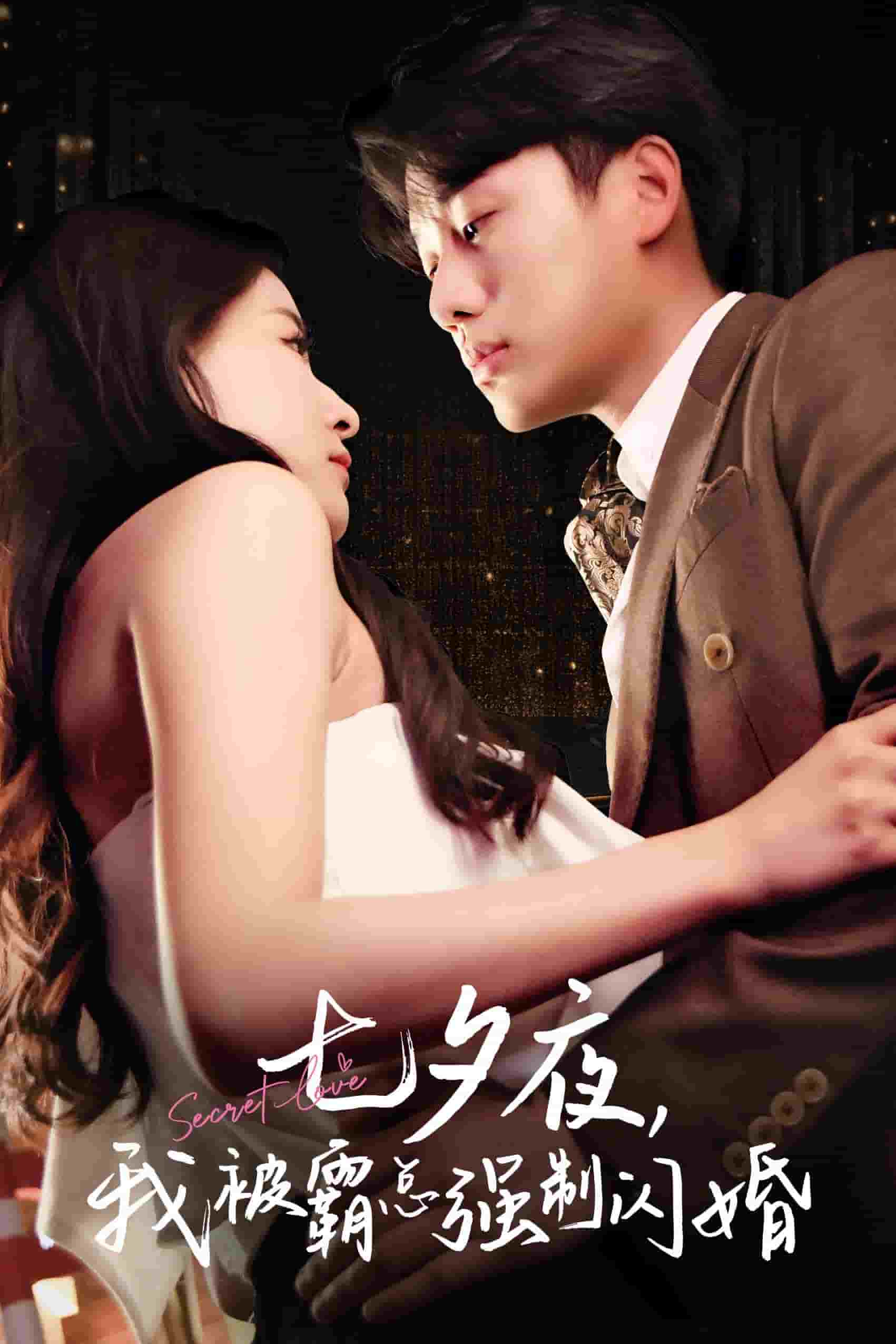 七夕夜我被霸总强制闪婚 第65集