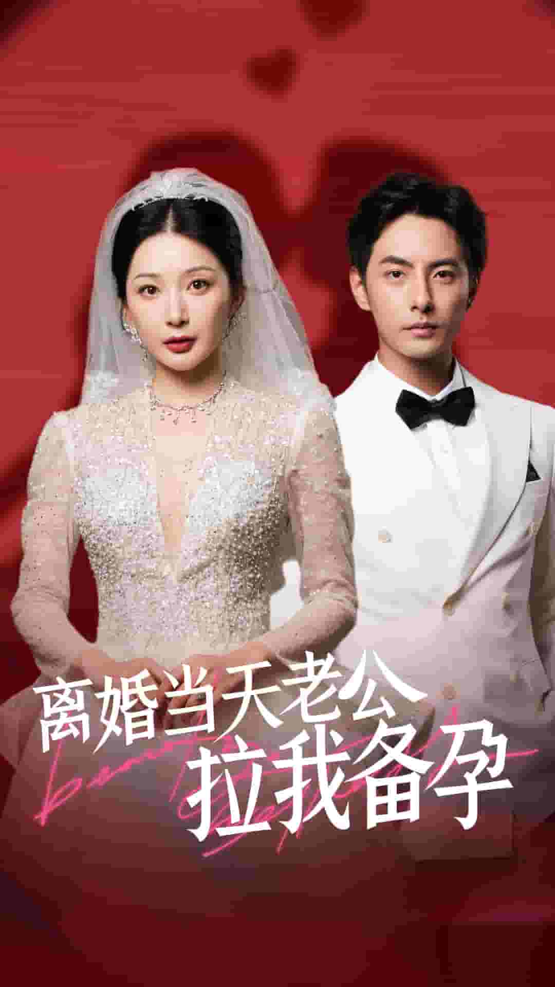 离婚当天老公拉我备孕 第25集