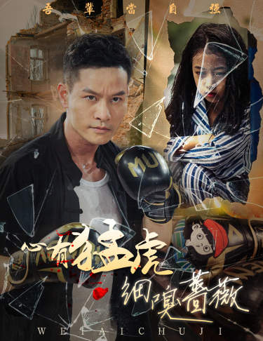 心有猛虎细嗅蔷薇 第14集