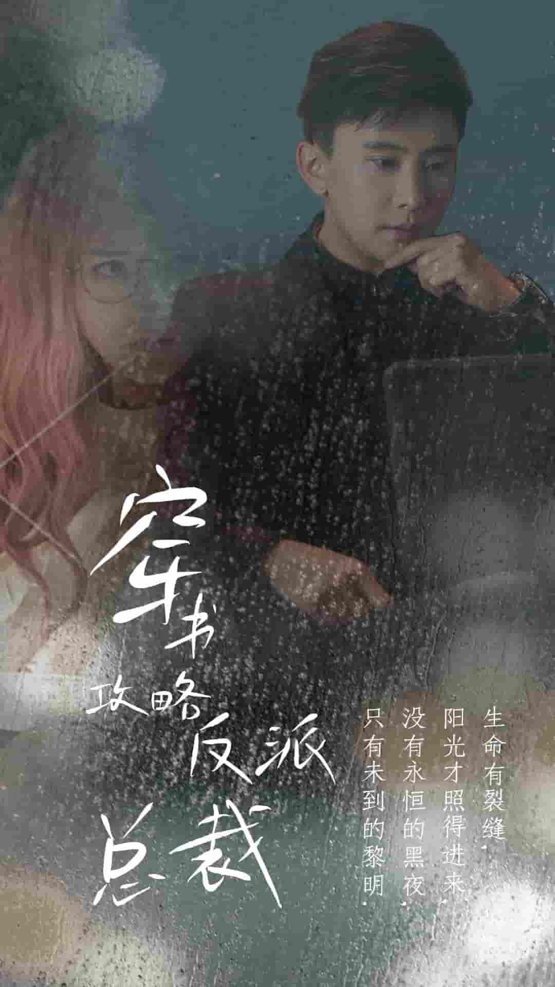 穿书攻略反派总裁 第12集