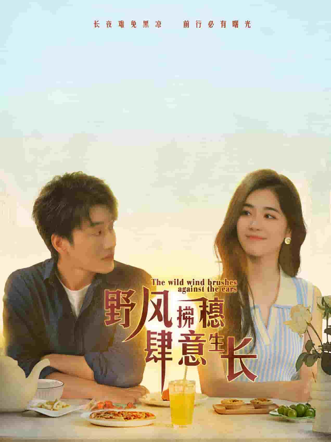 野风拂穗肆意生长 第42集