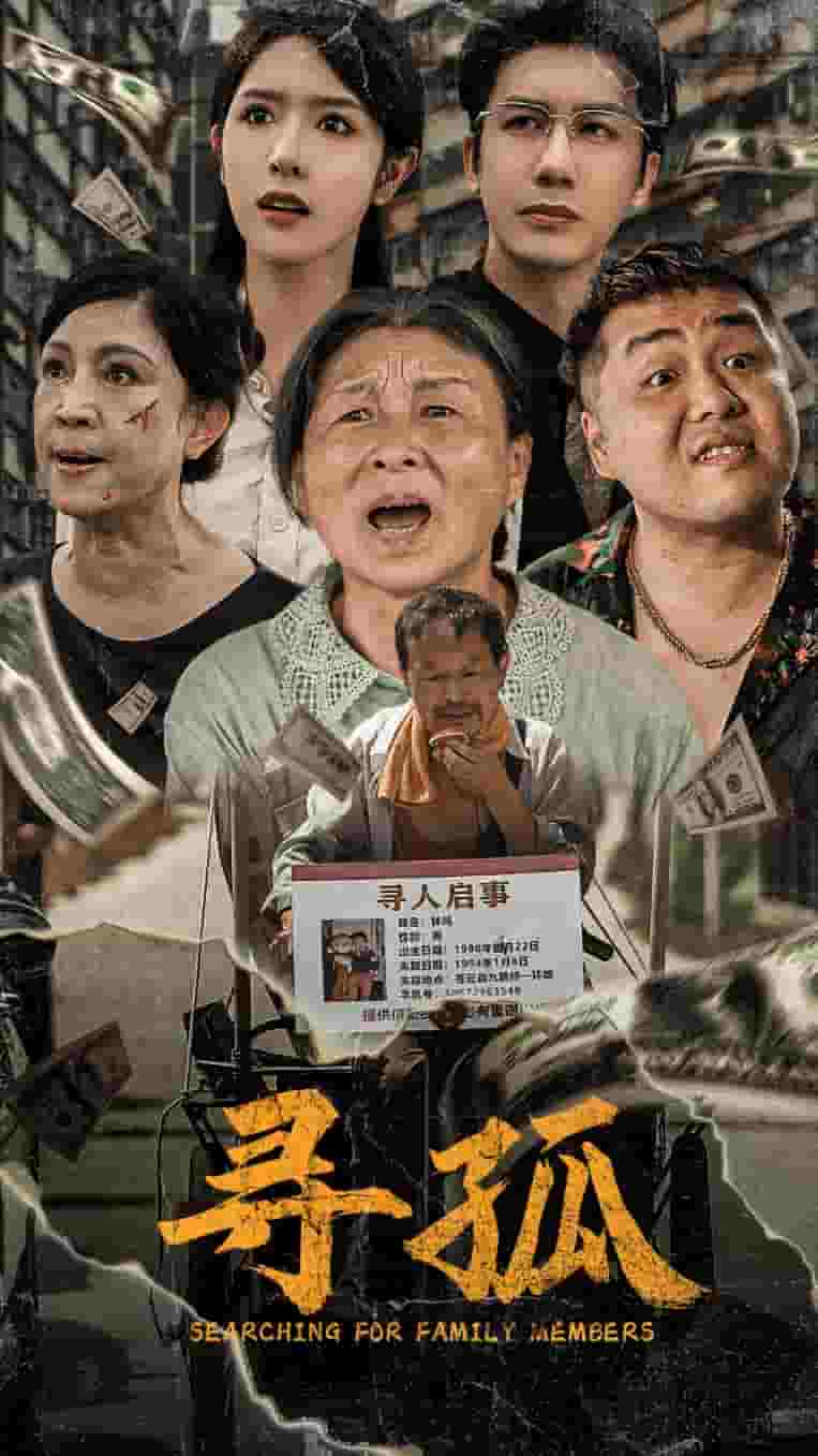 寻孤 第19集