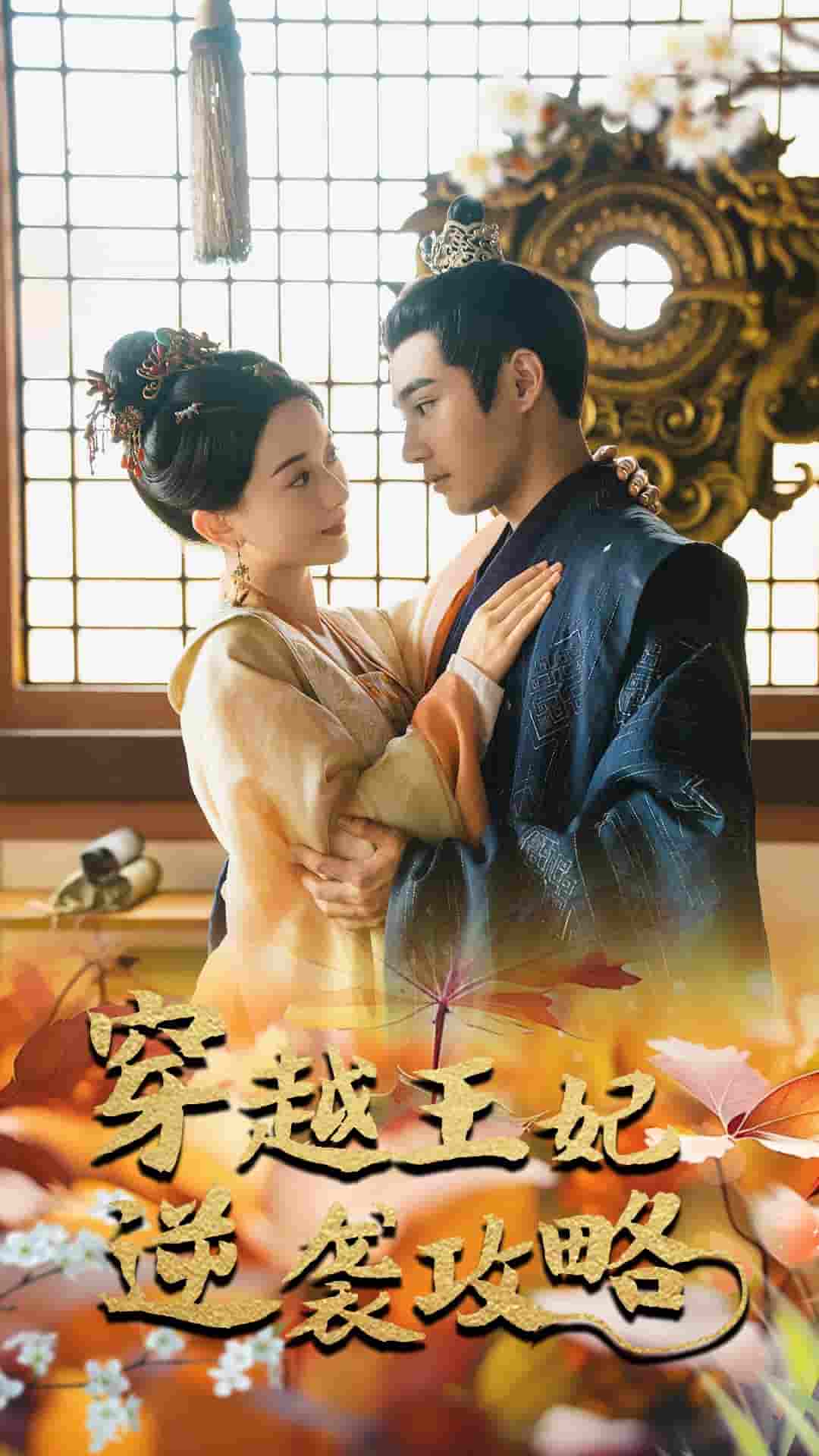 穿越王妃逆袭攻略 第10集
