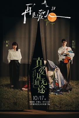 再见爱人第四季 第20250108期
