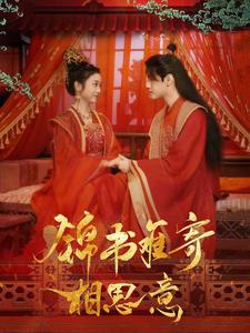 锦书难寄相思意 第89集