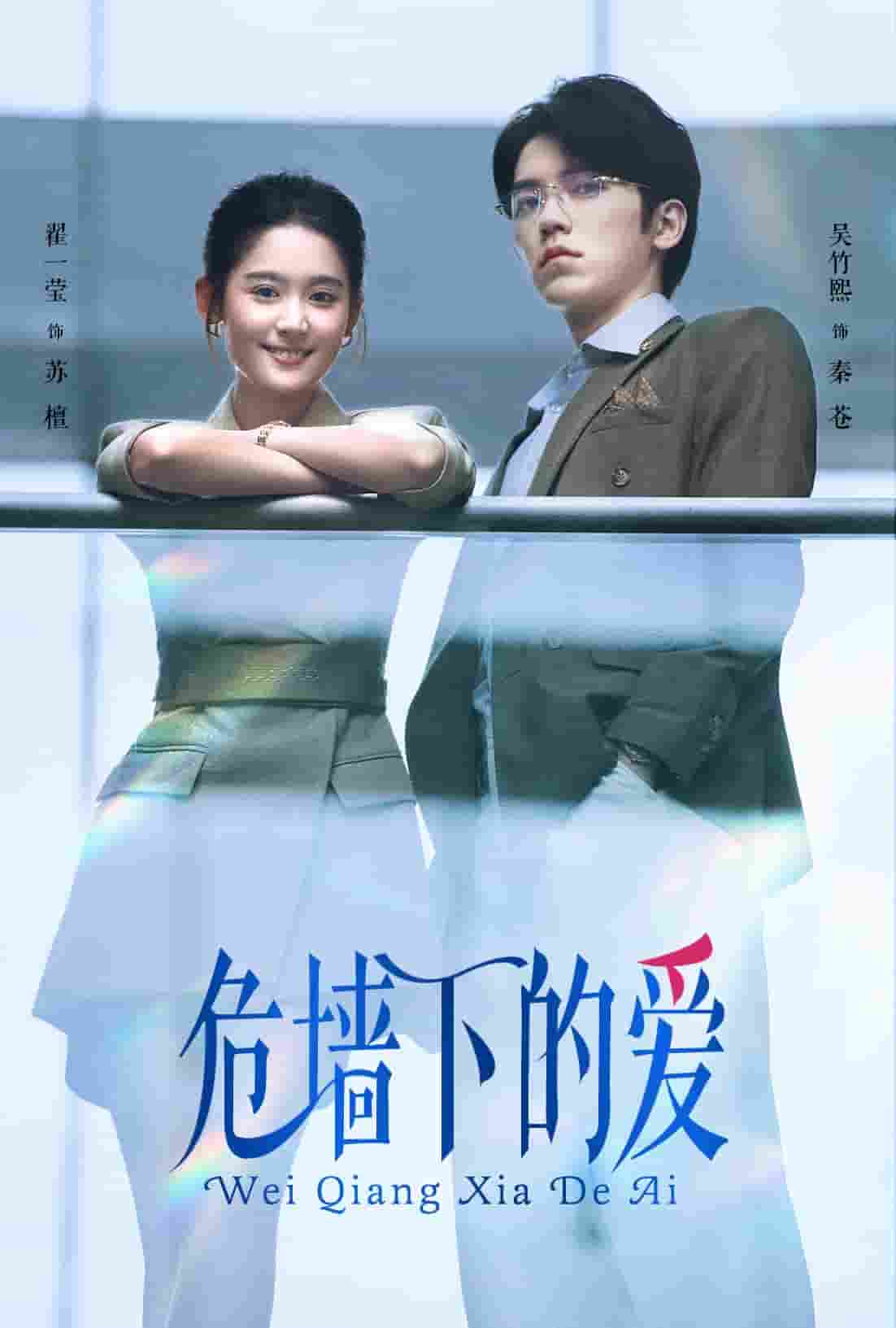 危墙下的爱 第14集