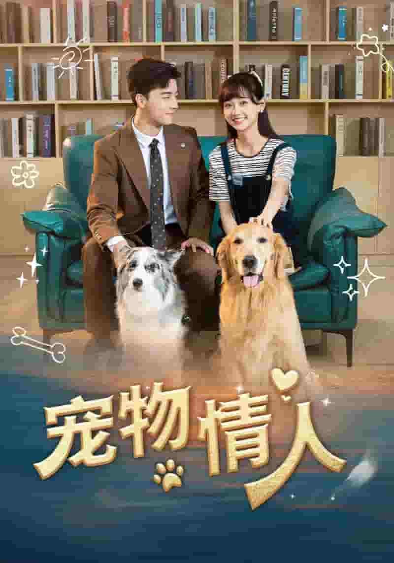 宠物情人短剧版 第11集