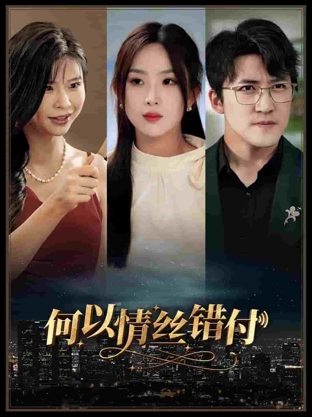 何以青丝错付 第54集