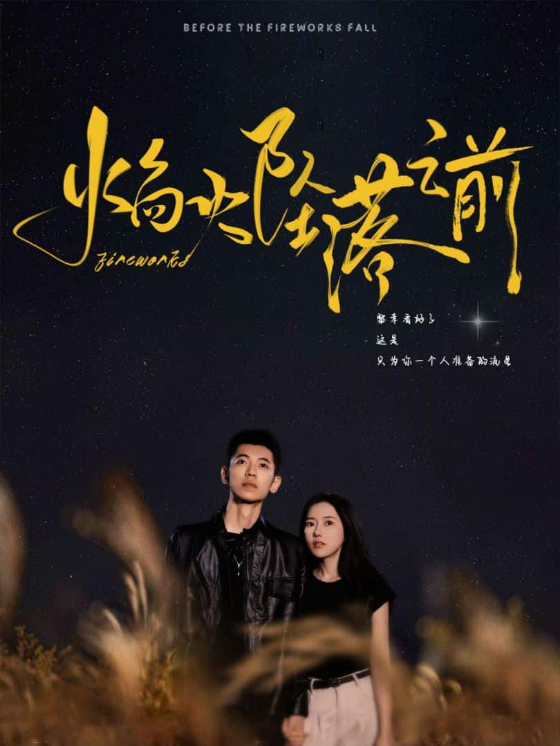 焰火坠落之前 第19集